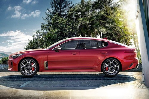 Stinger Side view