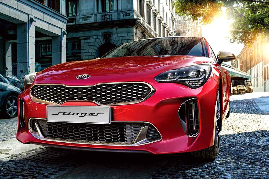 Stinger Tilted Front View