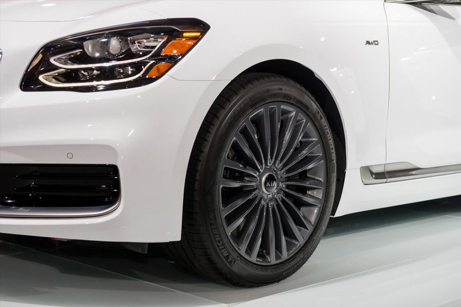 Quoris 2019 Wheel