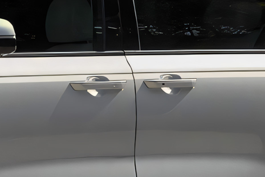 Carnival Door handle