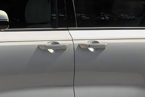 Carnival Door handle