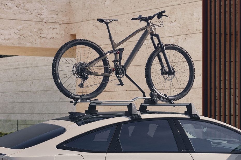 A6 E-tron roof rail