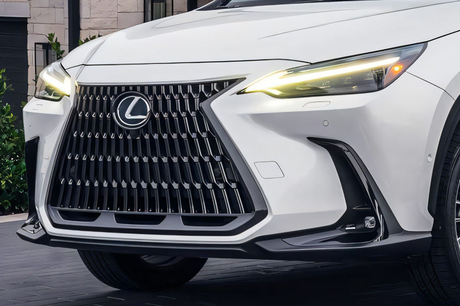 NX Hybrid Grille View