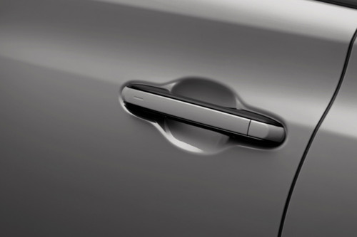 RZ Door handle