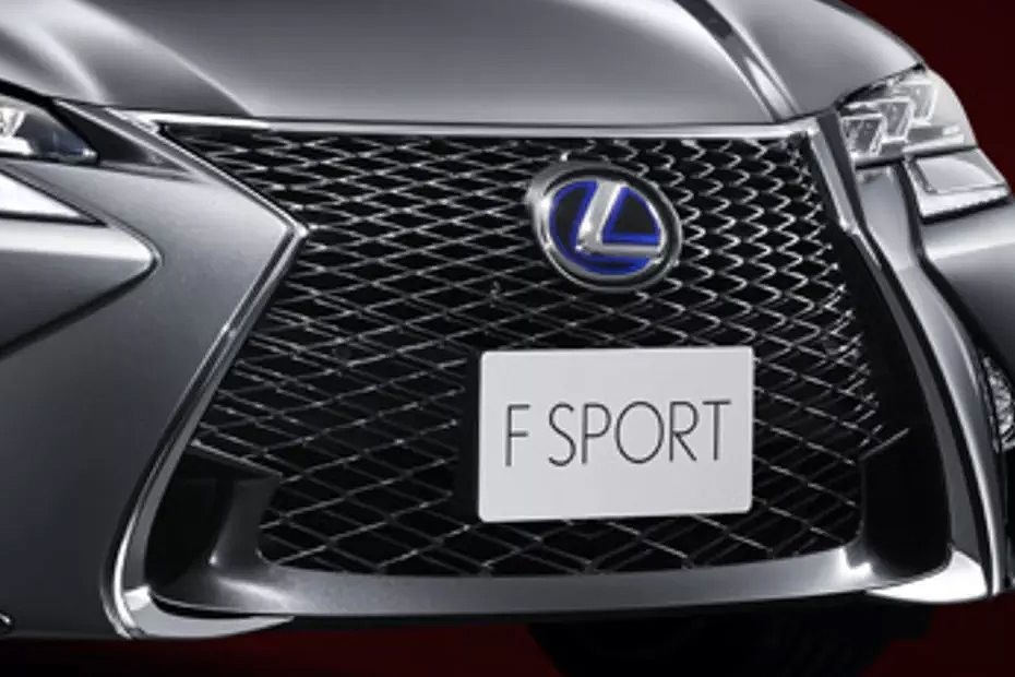 GS (2013-2021) Grille View