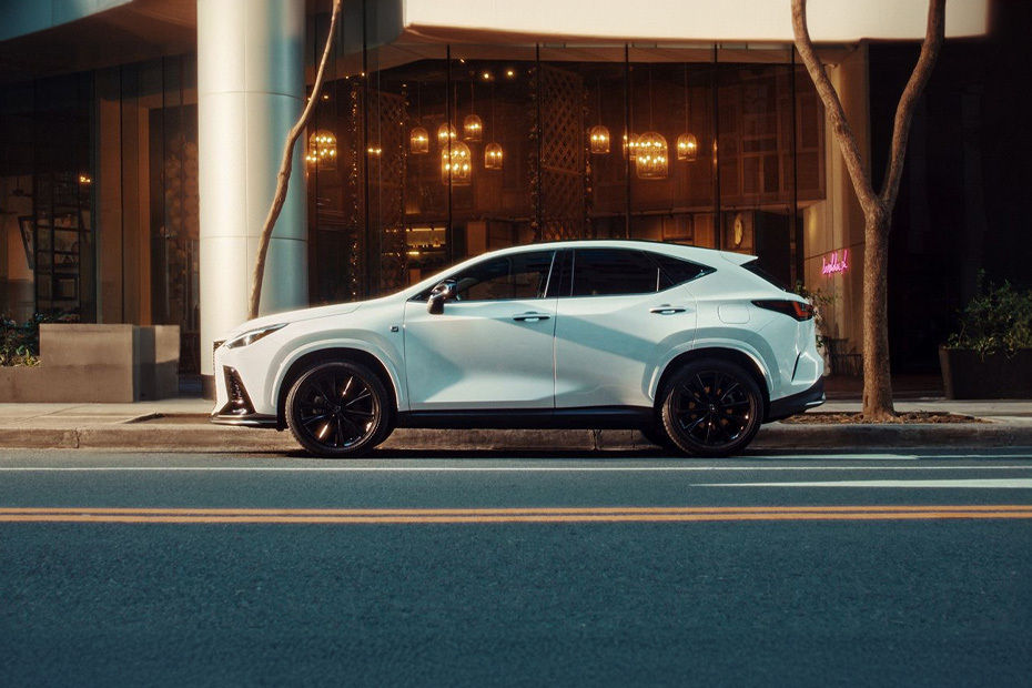 NX Side view
