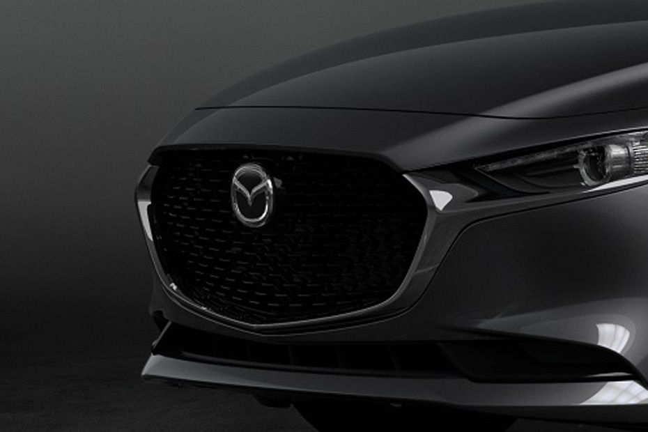 3 Sedan Grille View