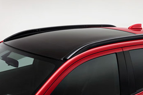 ASX roof rail