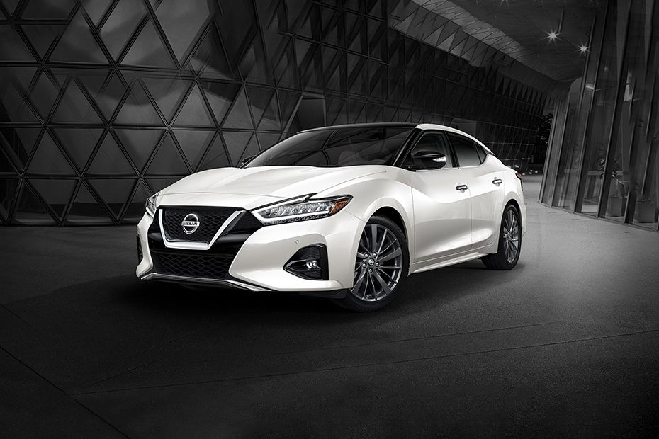 Maxima Front angle low view