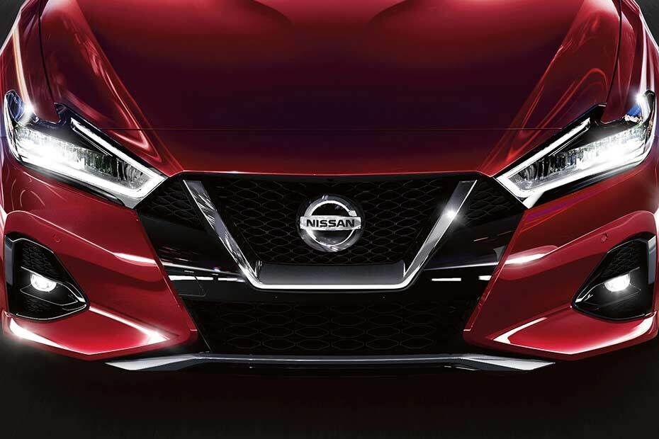 Maxima Grille View