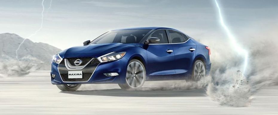 Maxima (2016-2018) Front angle low view