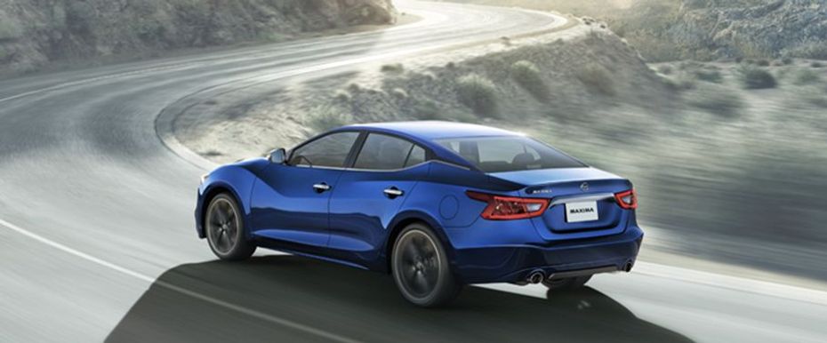 Maxima (2016-2018) Side view