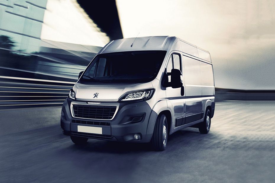 Boxer Front angle low view