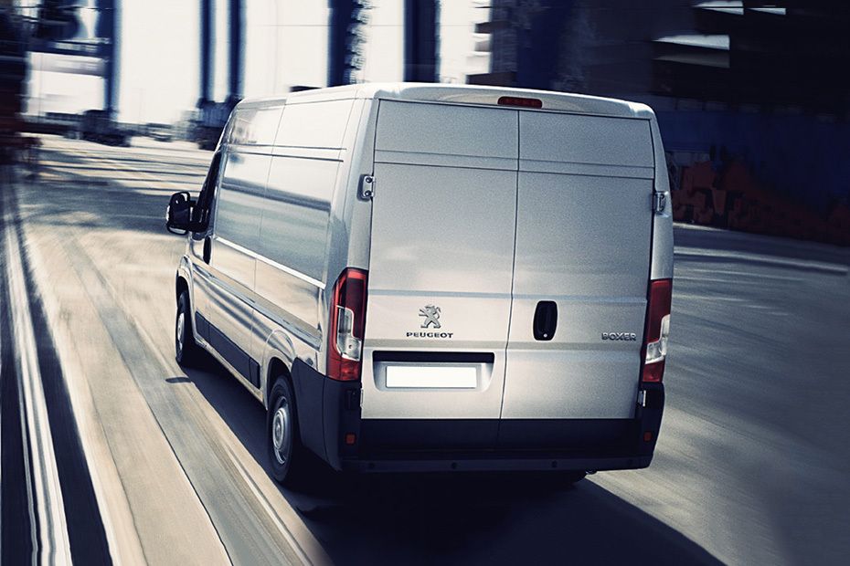 Boxer Rear Low Angle View