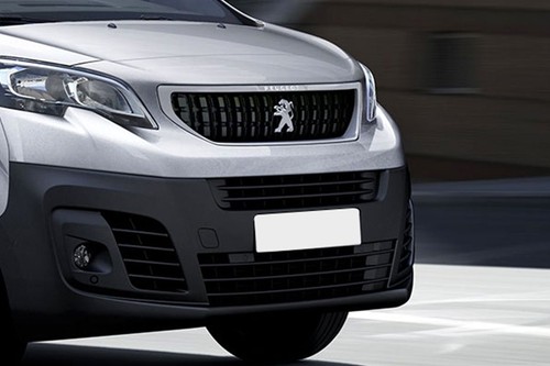 Expert (2018-2022) Grille View