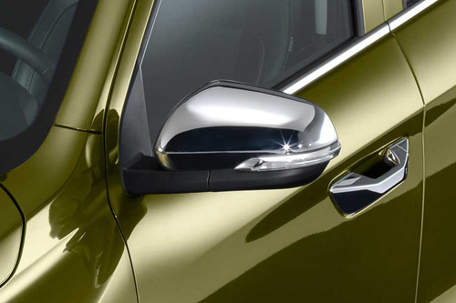 Peugeot Landtrek Drivers Side Mirror Front Angle