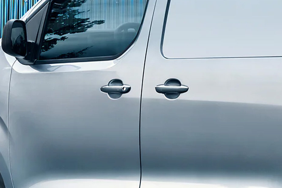Expert Door handle