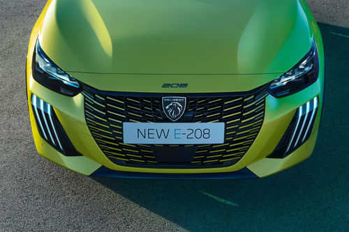 E-208 Grille View