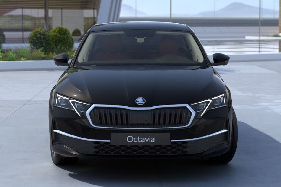 Full Front View of Octavia