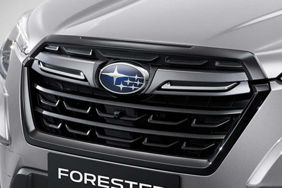 Forester Grille View