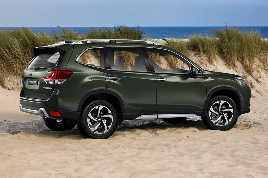 Forester Rear Medium Side View