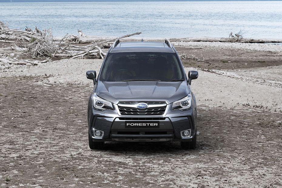 Full Front View of Forester (2012-2021)