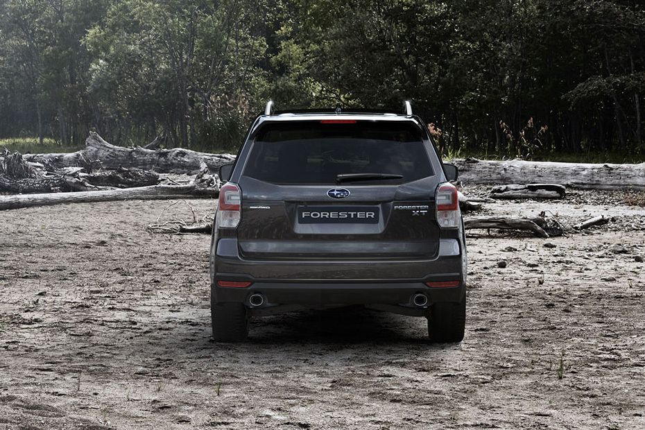 Full Rear View of Subaru Forester (2012-2021)