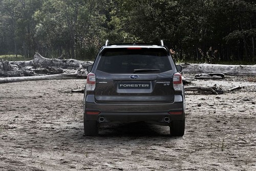 Full Rear View of Subaru Forester (2012-2021)