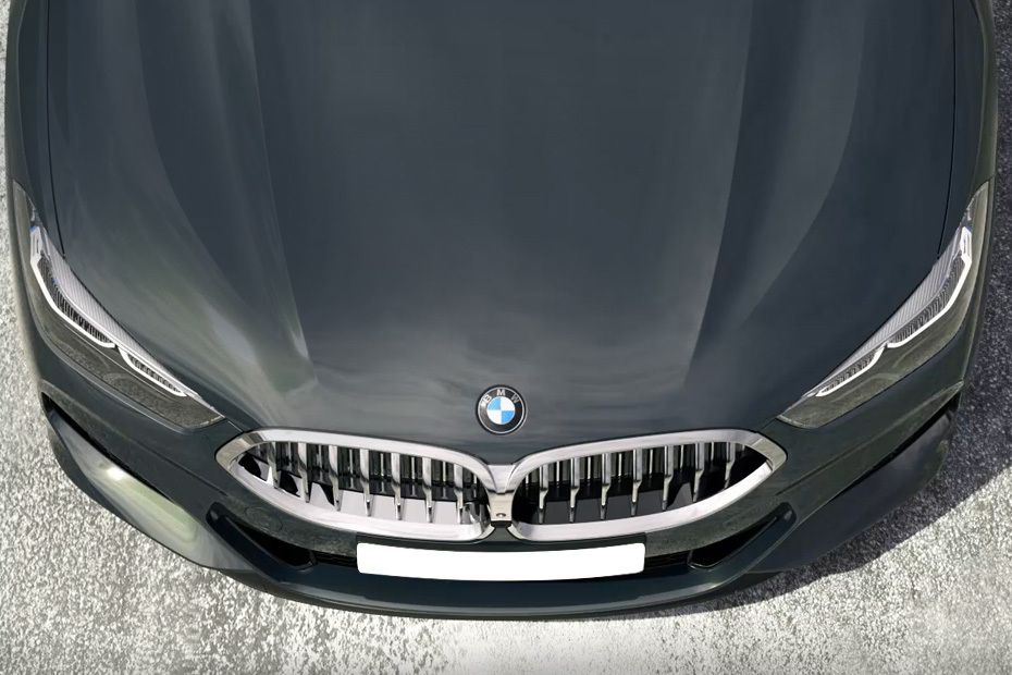 8 Series Convertible Grille View