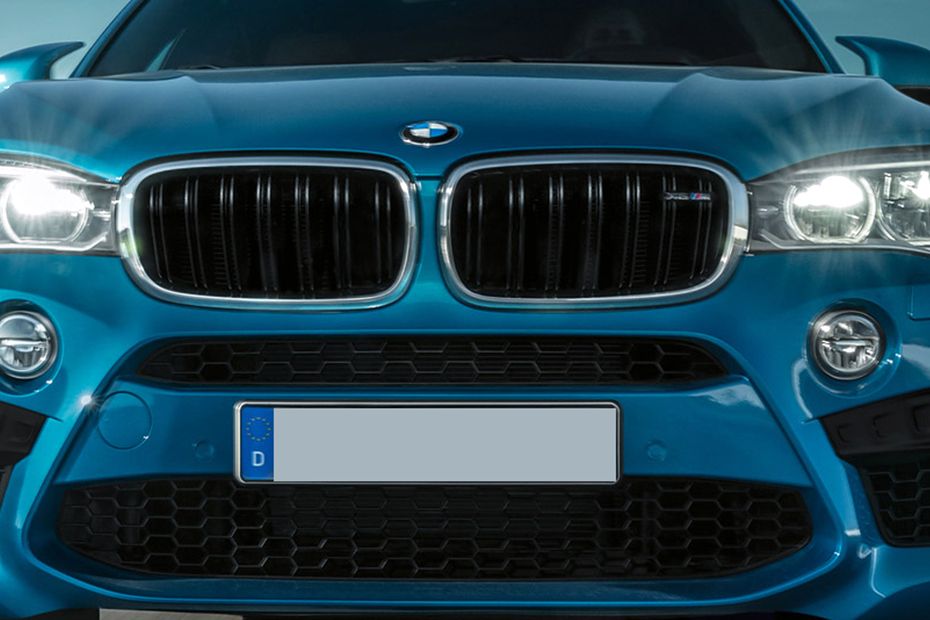 X6 M Grille View