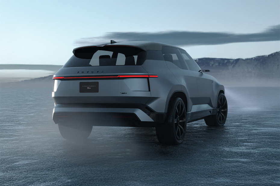 Land Cruiser SE Rear angle view