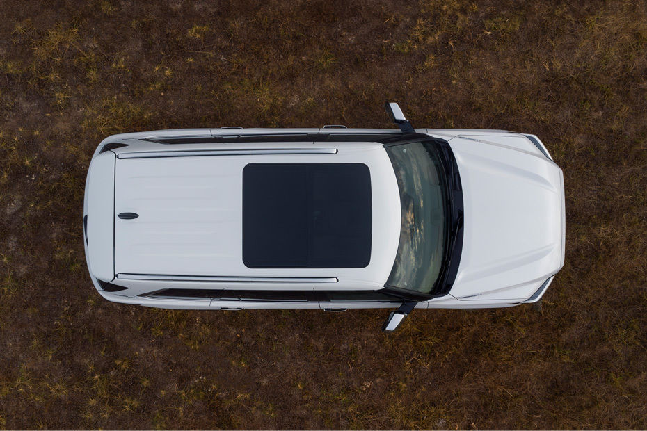 Top View of Sequoia