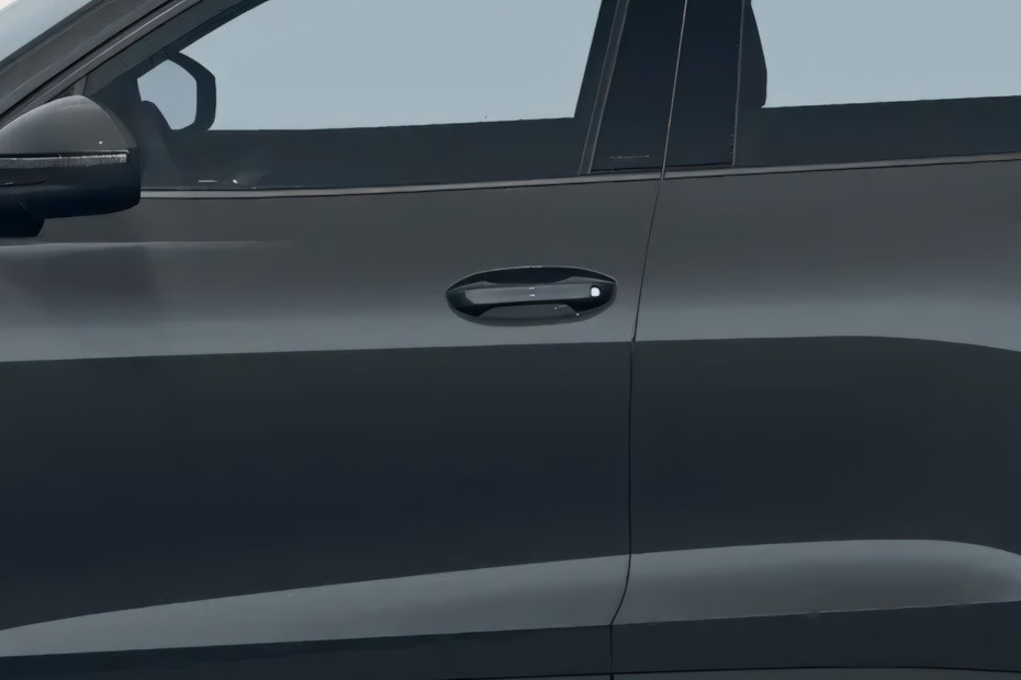 Tiguan Door handle