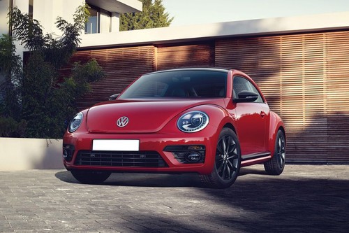 Beetle Front angle low view