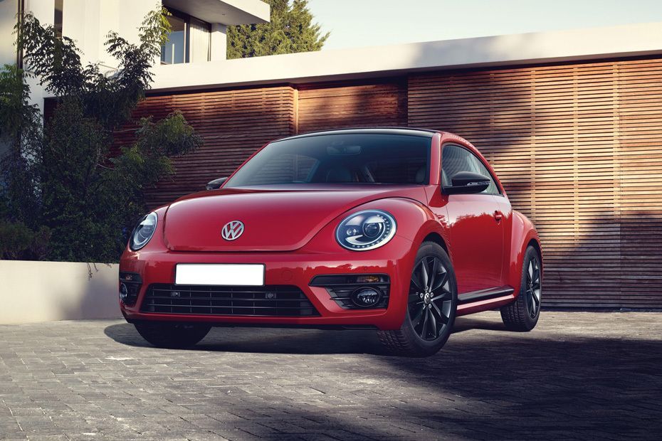 Beetle Front angle low view
