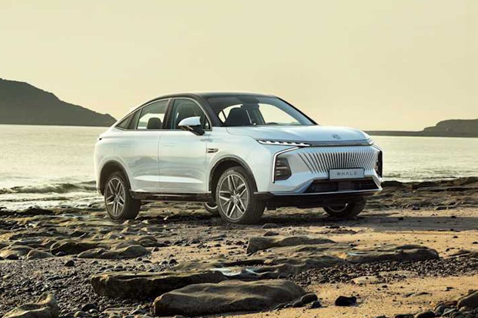 MG Whale Front Medium View