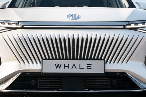 Whale Grille View