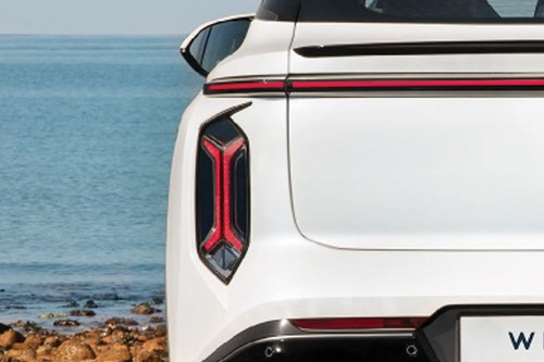 Whale Tail light
