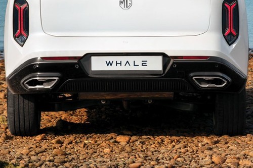 Whale Wheel