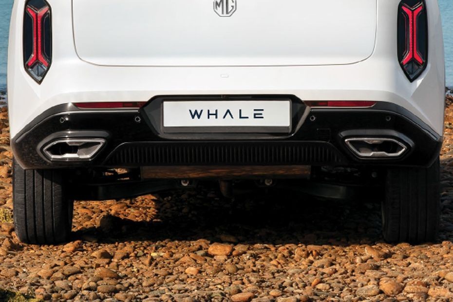 Whale Wheel