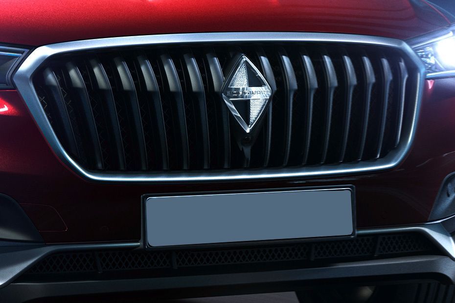 BX5 Grille View