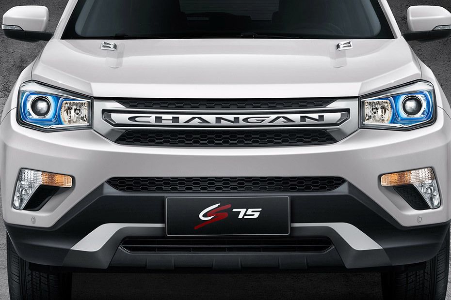 CS75 Grille View