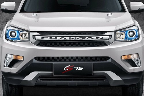 CS75 Grille View