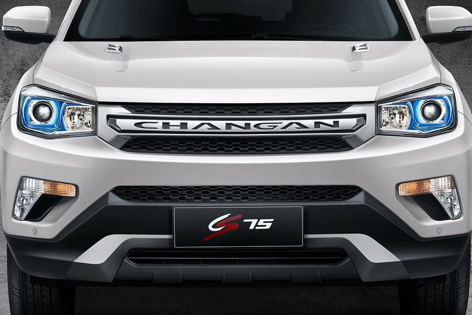 CS75 Grille View