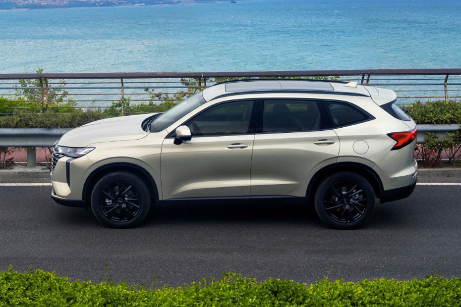 Rear Cross View of Haval H6