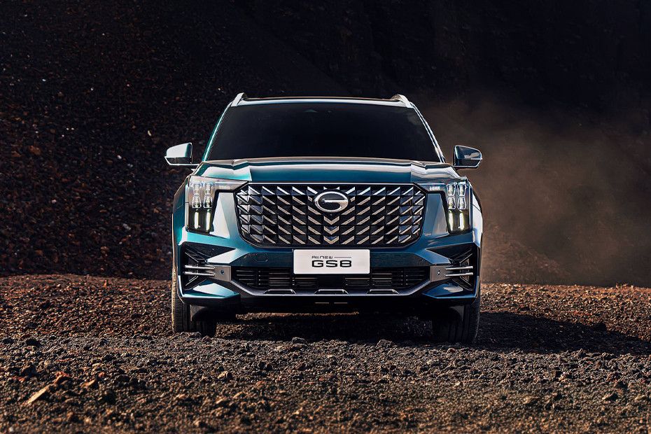 GS8 Grille View