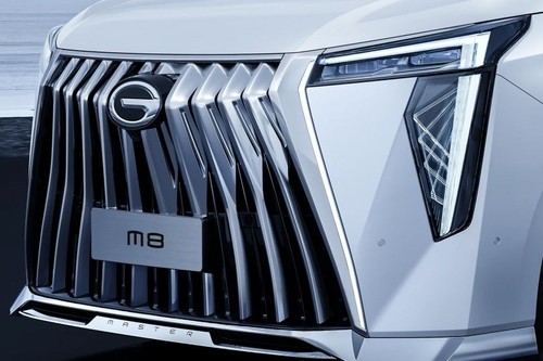 M8 Grille View