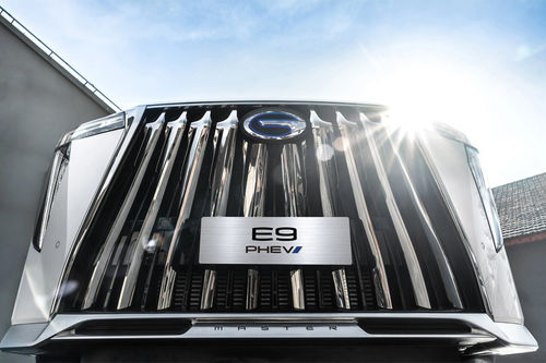 E9 Grille View