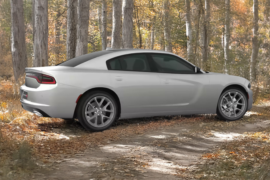 Rear Cross View of Dodge Charger