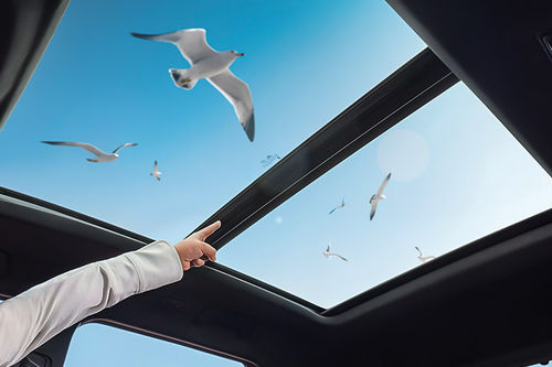 Chery Tiggo 7 CSH Sunroof Moonroof